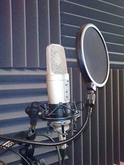 Акустический поролон от производителя