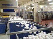 Яйцо куриное РБ