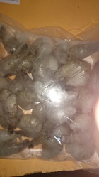 Черная тигровая креветка 21/25 б/г от 330рублей, морской гребешок китайский 10/20 от 470 рублей за кг.