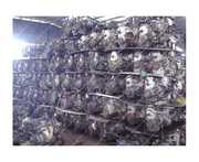 Контраткные моторы АКПП МКПП и др. агрегаты