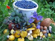 Ягода,  Грибы,  Кедровый орех