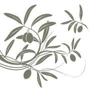 Оливки & Оливковое масло из Греции