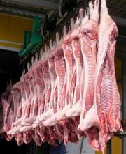 Свинина оптом (работаем по всей РФ)