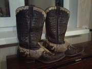 Сапоги МС Вспышкина из крокодиловой кожи