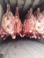 Говядина 1 кат. п/т зам, охл.