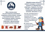 Уничтожение насекомых и грызунов. Дезинфекция Иркутск
