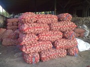 Картофель оптом от 10т с доставкoй