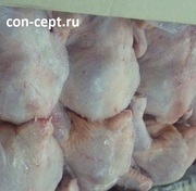 Окорока, филе, тушка ЦБ, мясо птицы, оптом