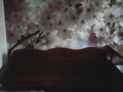 Диван-кровать и кресло