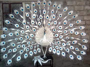 скульптура павлина из металла.