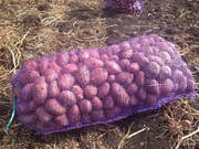 Картофель с бесплатной доставкой от сетки