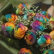 Радужные розы, редчайшая экзотика.