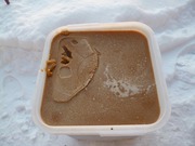 Продам мед. Таежный с дягилем.