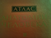 Атлас норм.анатомии под ред.Я. Синельникова