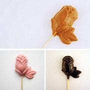 Шоколад на палочке. Оптом!