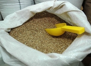 Крупа гречневая Ядрица Гост оптом