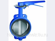 Затворы дисковые поворотные  Hornhof