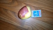 Предложение для решительных - картофель оптом 10.50р.