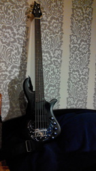 5 струнный бас Traben безлад