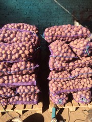 Картофель от производителя