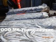 Хамса Анчоус черноморский оптом от 20 тонн качество 100%