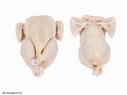 Реализуем: Мясо курицы, тушка ЦБ, окорочка и субпродукты оптом