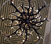 Люстры из рогов оленя и лося.