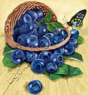 Широкий выбор товаров для рукоделия