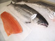 Продам и изготовим на заказ филе семги, с охлажденой семги, охлажденое, свежемороженое, стейки с семги.