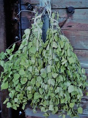 Веник березовый для бань и саун