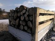 Дрова сухие