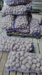 Картофель оптом от производителя от 7.5 р/кг