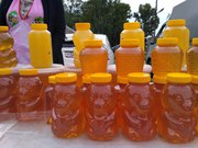 Горный алтайский мёд с собственной пасеки