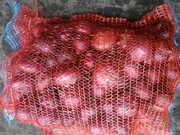 Лук красный оптовые поставки