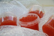Красная икра бюджетная от 1000 рублей кг