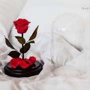 Роза в колбе Notta&Belle теперь и в Комсомольске-на-Амуре