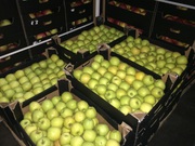 Яблоки разных сортов оптом со склада 