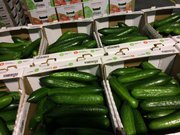 Огурец тепличный Овощевод «Ботаника» оптом