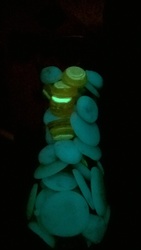 интерьерные украшения для дома аквариума сада