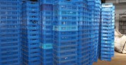 Покупаем пластиковые поддоны,  ящики,  тара