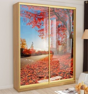 Шкаф купе на заказ недорого в москве от производителя цена распродажа