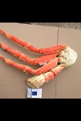 Краб Камчатский, Краб стригун