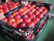 Нектарин из Испании