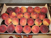 Персики из Испании