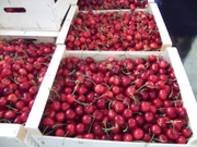 Черешня из Испании