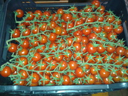 Томаты черри из Испании