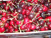 Черешня из Испании. Прямые поставки