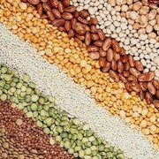 Крупы Оптом от Производителя! ГОСТ! По доступным ценам. Доставка РФ.