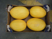 Дыни из Испании