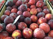 Сливы из Испании. Прямые поставки